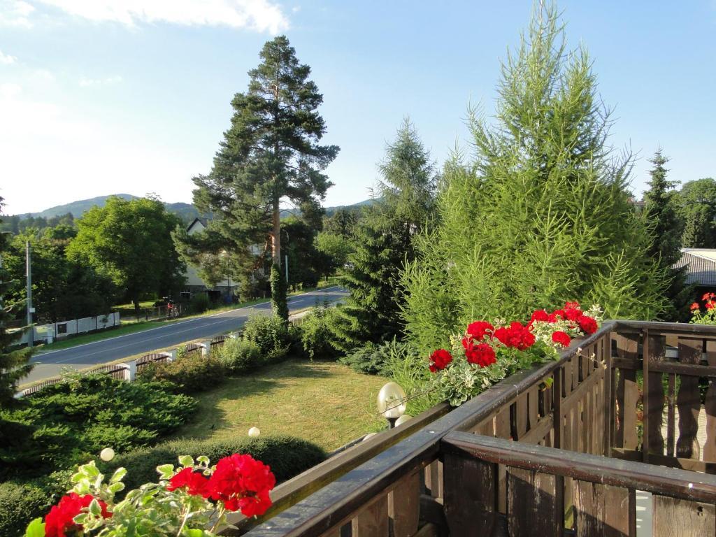 Villa Zerotin Penzion Bed & Breakfast Velké Losiny Exterior photo