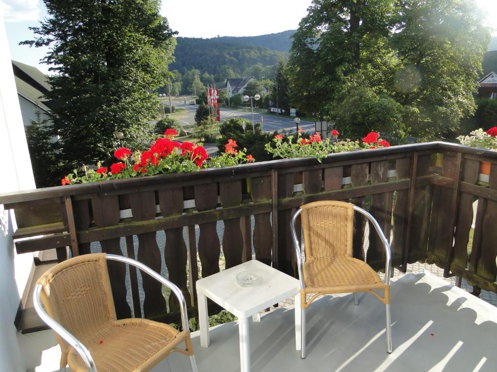 Villa Zerotin Penzion Bed & Breakfast Velké Losiny Exterior photo